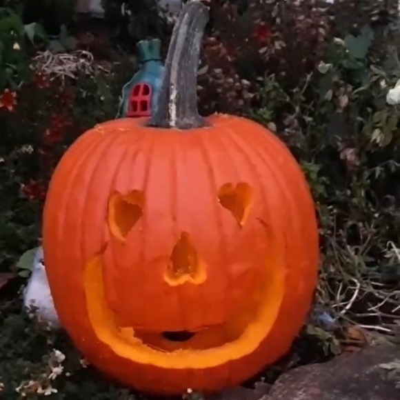 Meet your Posher, Jannelle - Picture 1 of 1